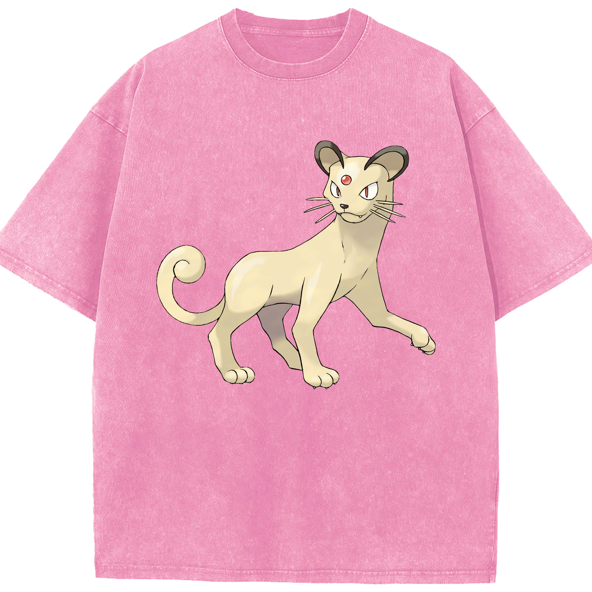 （画像用） ポケットモンスター Pokémon 綿100% ヴィンテージ風 半袖Tシャツ（フロントプリント）